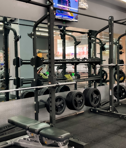 FITNESS EQUIPMENT'S COLLECTION SETUP SERVICES