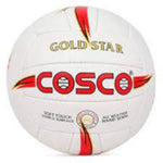 COSCO GOLD STAR VOLLYBALL