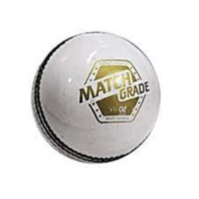 CRICKET LEATHER BALL MATCH GRADE DSC