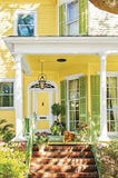 Exterior Paints YELLOWS & GREENS | Services