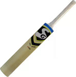 SG Cricket Kit,